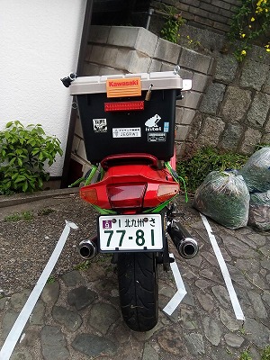 zzr250-back